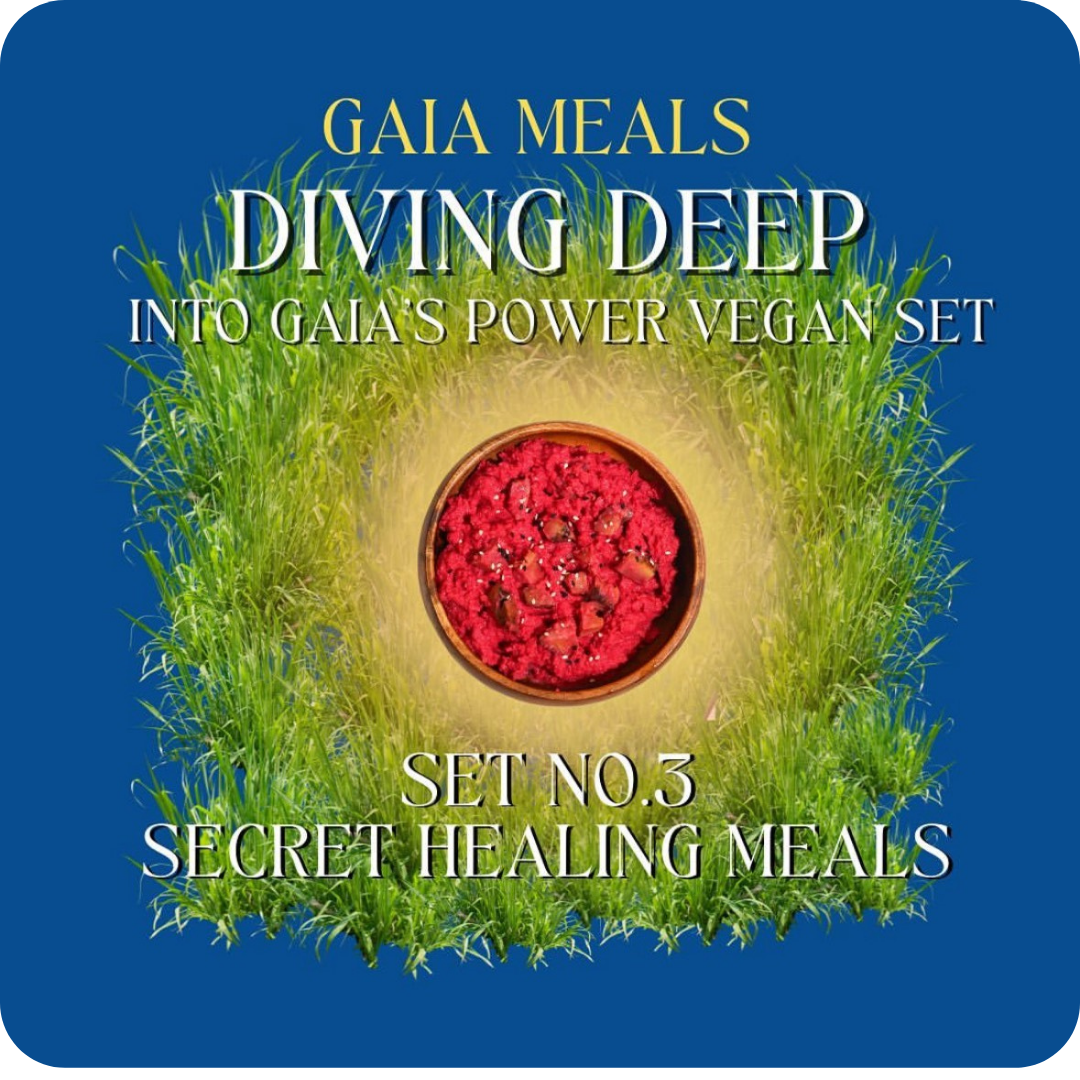 Set No.3 Secret Healing Meals